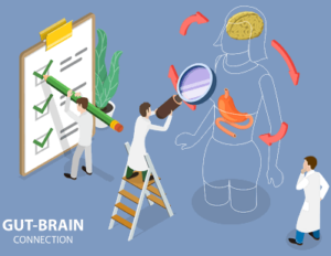 gut brain connection concept scientists