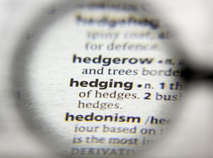 hedging word dictionary under magnifying glass