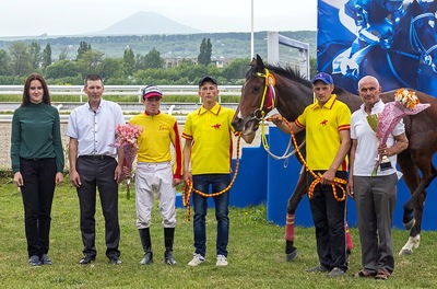 Horse and Winning Team