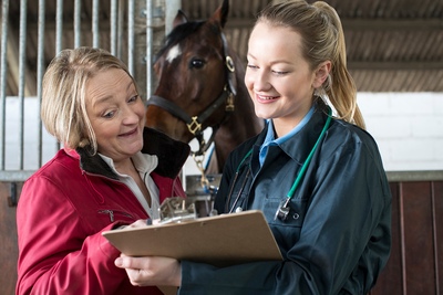 Horse Owner vet