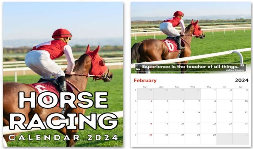 Horse Racing Calendar Number of Races Annually