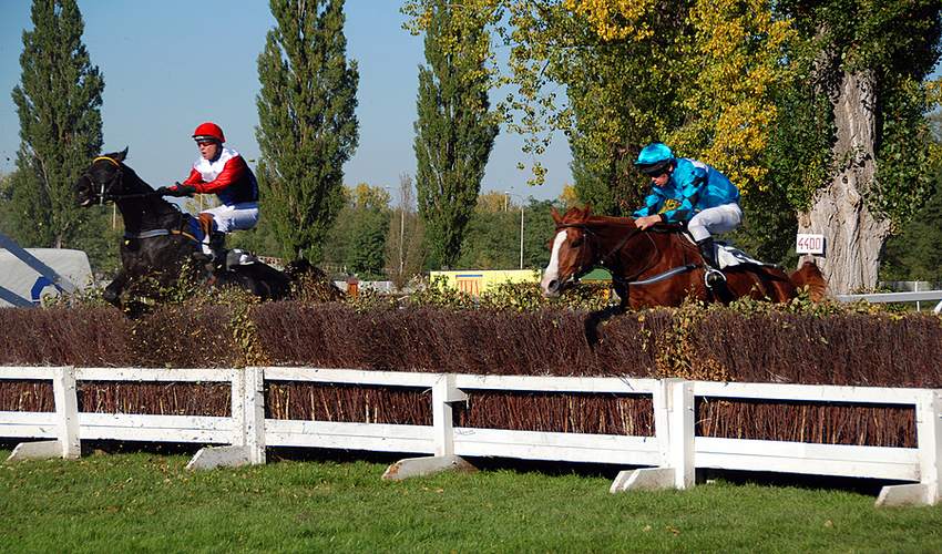Horse Racing Over Jumps