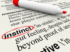 instinct dictionary close up circled in red pen