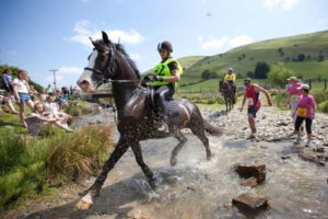 man versus horse marathon